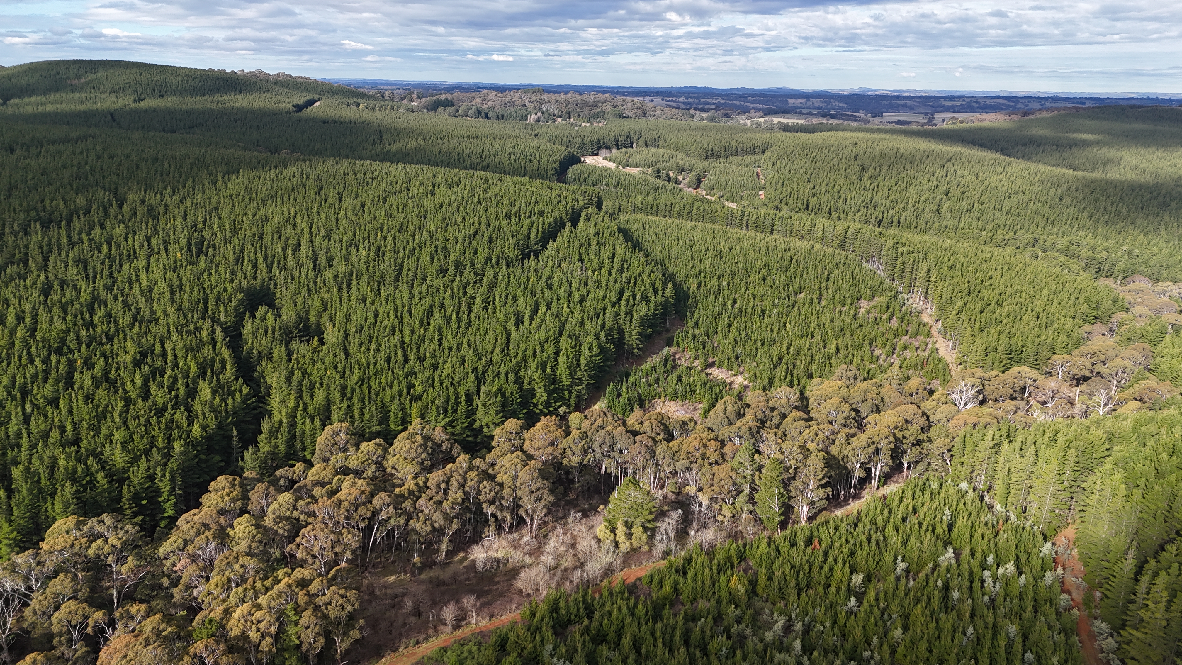 Four Mile Creek Wind Farm