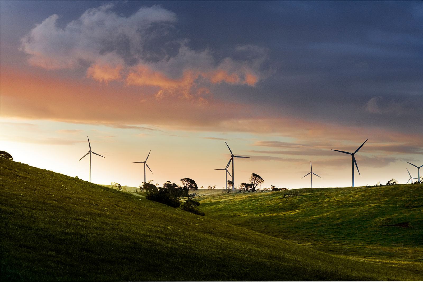 Lake Bonney Wind Farms Scholarship