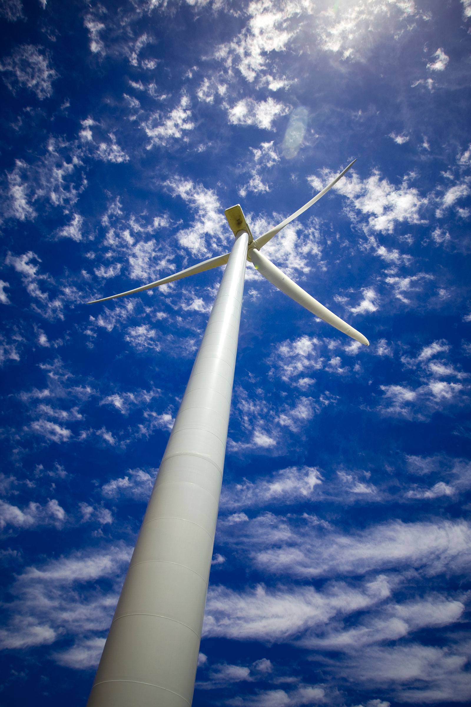 Walkaway Wind Farm Scholarship