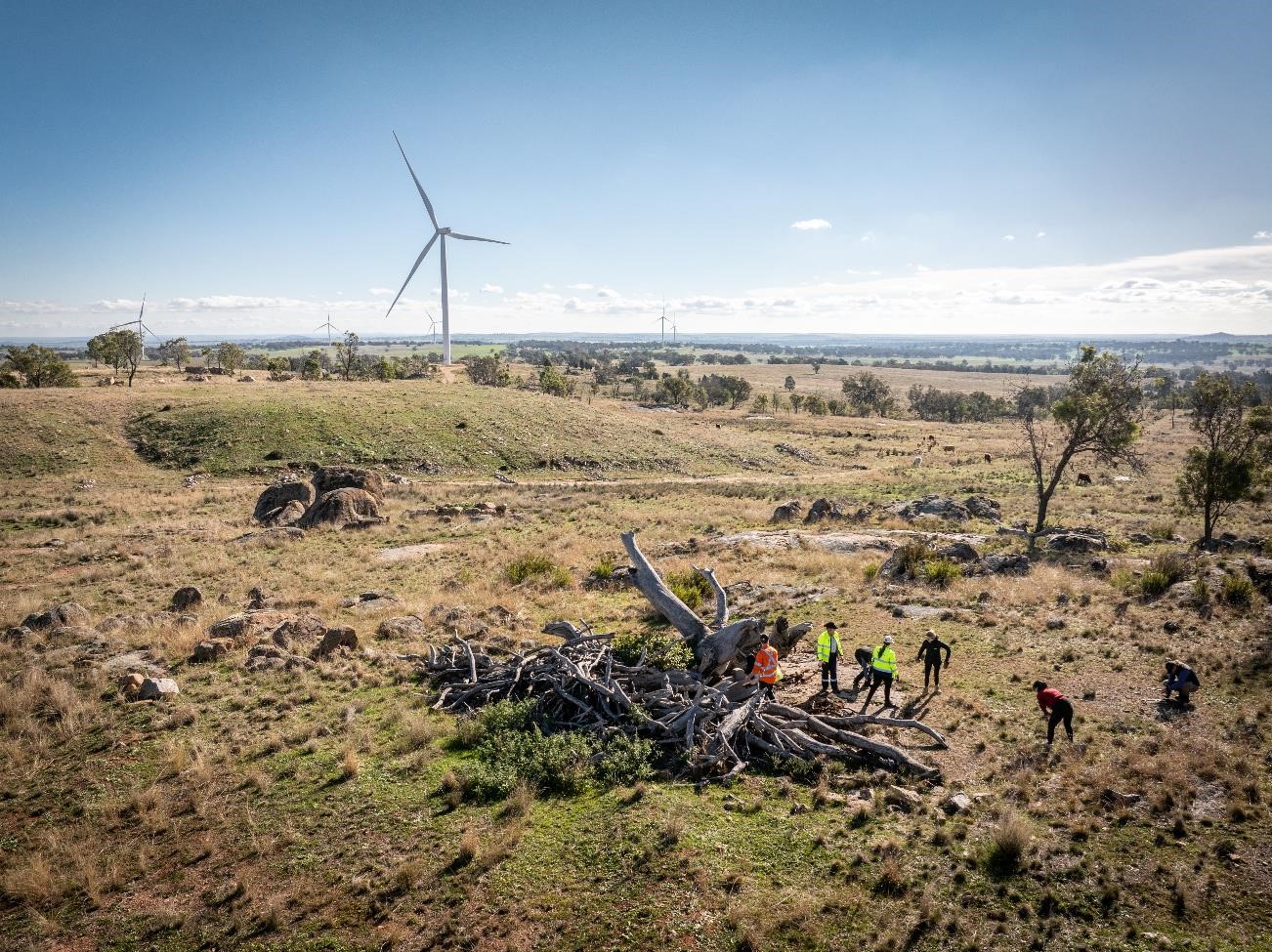 Our Biodiversity Strategy
